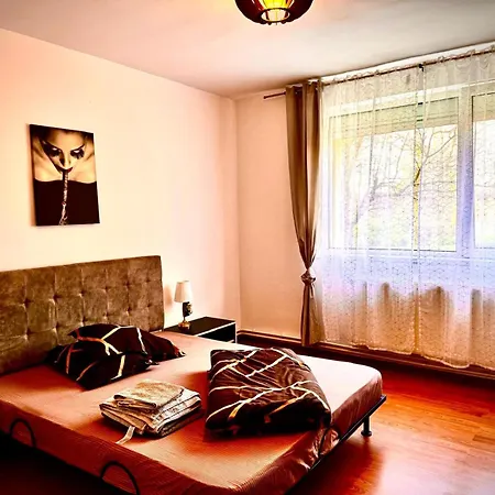Asgard Apartment Timisoara