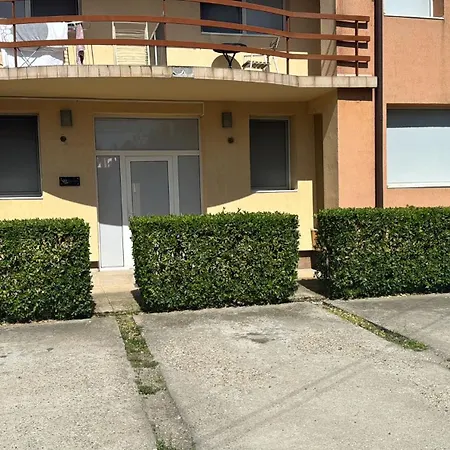 Asgard * 티미쇼아라