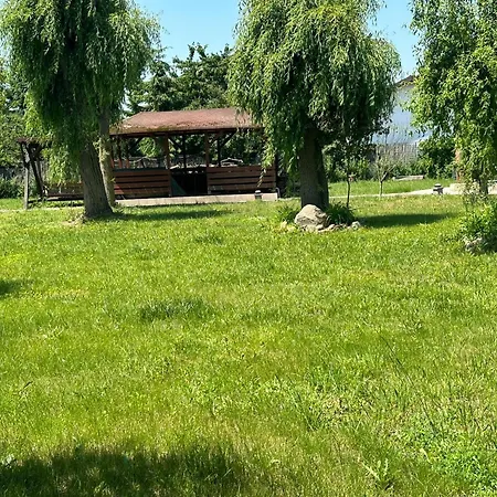 Asgard Timisoara