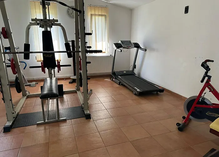 Asgard Lägenhet Timişoara